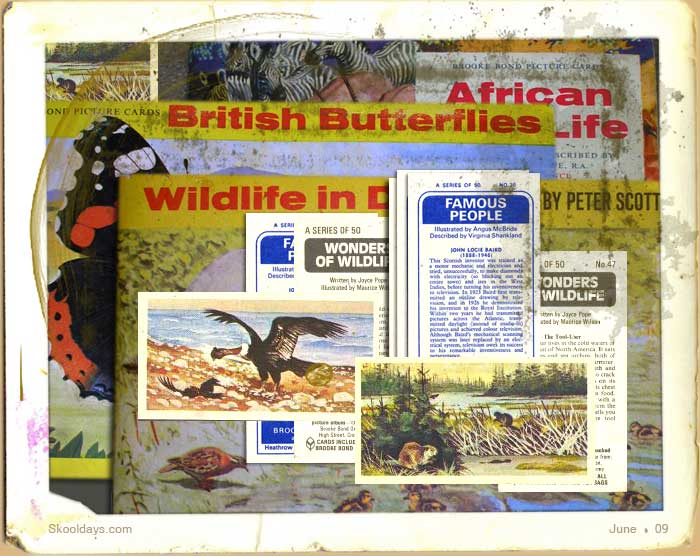 African Wild Life  Complete Set in Album Brooke Bond Tea Cards 