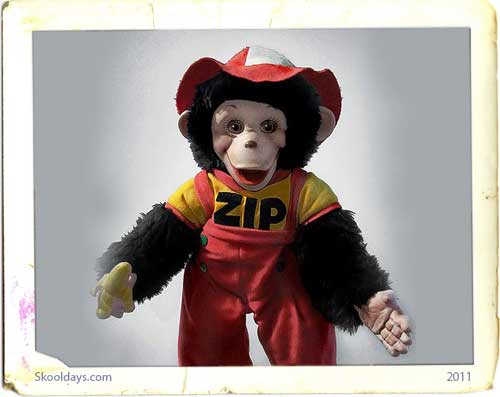 Zippy the Monkey