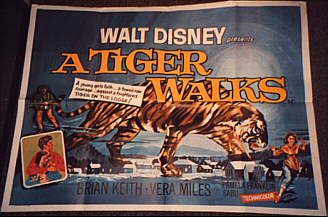 A Tiger Walks