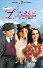 Lassie (series)
